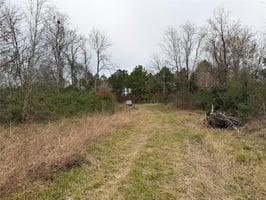 29044525