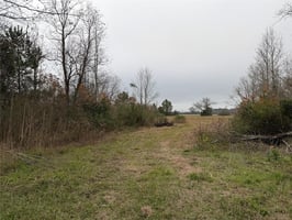 29044522