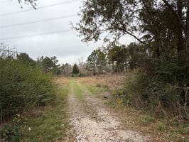 29044519
