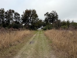 29044530
