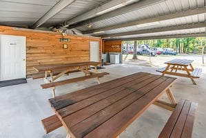 29045938
