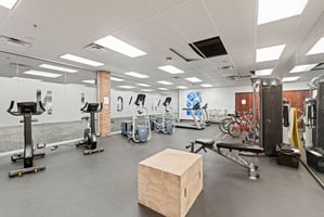 29047454