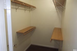 29048640