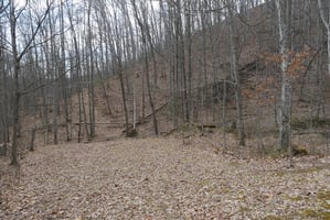 29054068