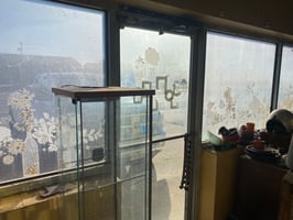 29054631
