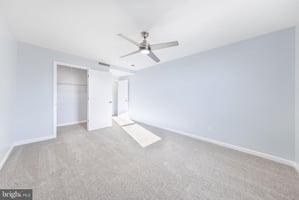 29059838