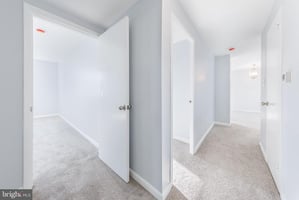 29059839