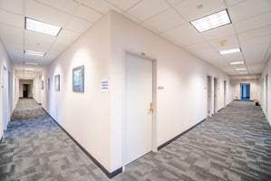 29055731