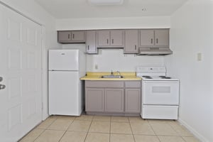 29056657