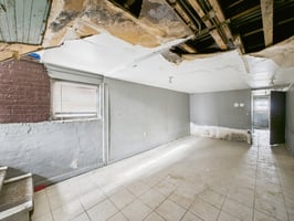 29058494