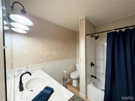29460493