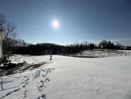 29460511