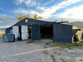 29062238