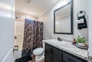 29064481