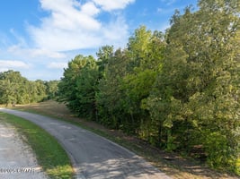 29066682