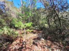 29069113