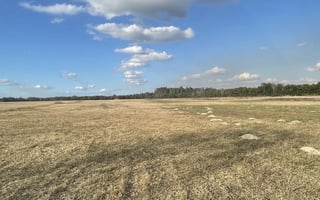 29068831