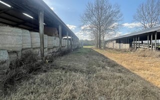 29068798
