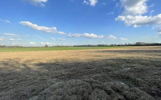 29068833
