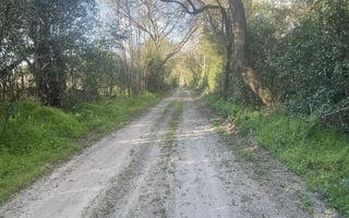 29068812