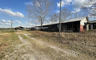 29068805