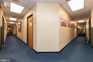 29074820