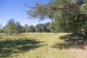 29075178