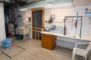 29081855