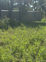 29716641