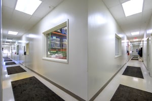 29109648
