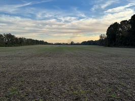 29085479