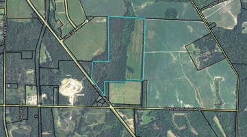 29085484