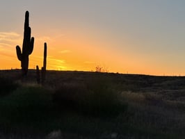 29093512