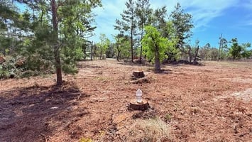 31663903