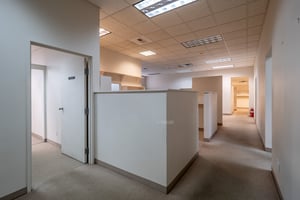29095792