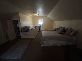 29098462