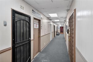 34034884