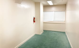 31605443