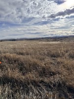 29107082