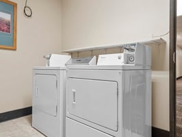 29107549