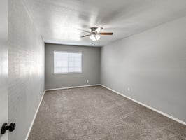 29107774