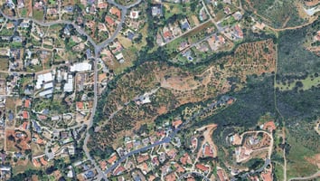 29116445