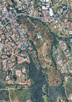 29116444