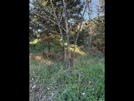 31376741
