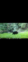 29128233