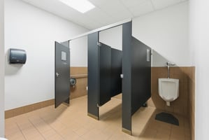 29331561