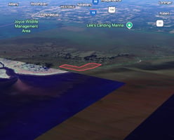 29134695