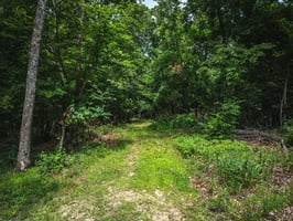 30974518