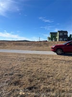 31335644