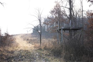 29136387